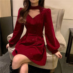 Thick Velvet Dress